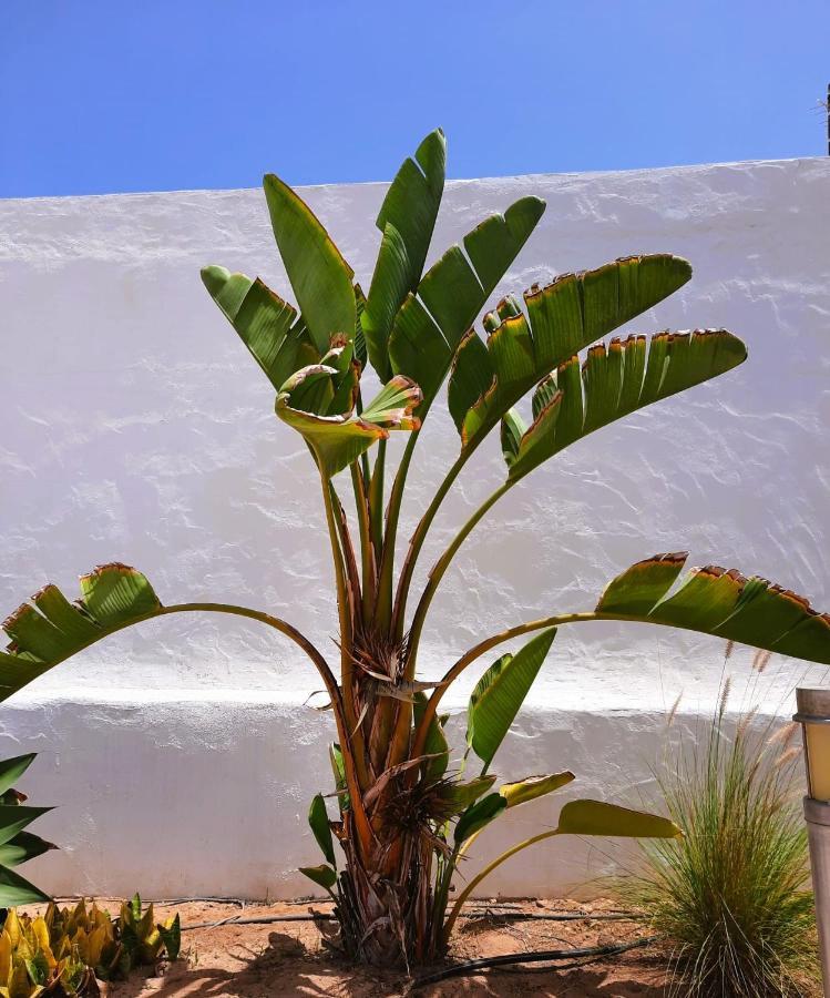 Casa Vivi Fuerteventura Leilighet Corralejo Eksteriør bilde