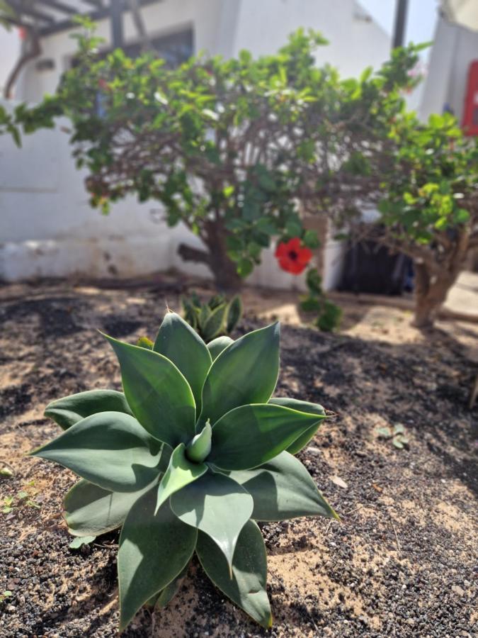 Casa Vivi Fuerteventura Leilighet Corralejo Eksteriør bilde