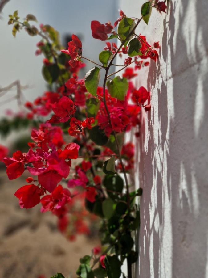 Casa Vivi Fuerteventura Leilighet Corralejo Eksteriør bilde
